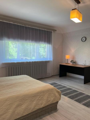 Ilmatsalu apartment
